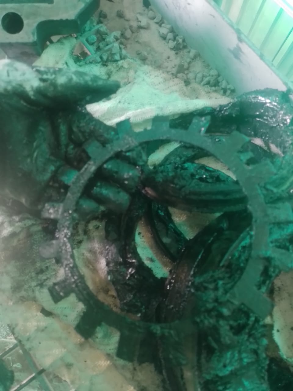 img 20250514 wa0031