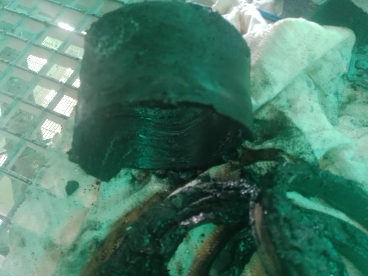 img 20250514 wa0034